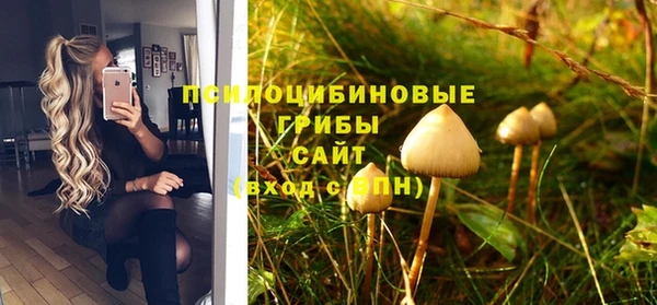 прущие крисы Богородск