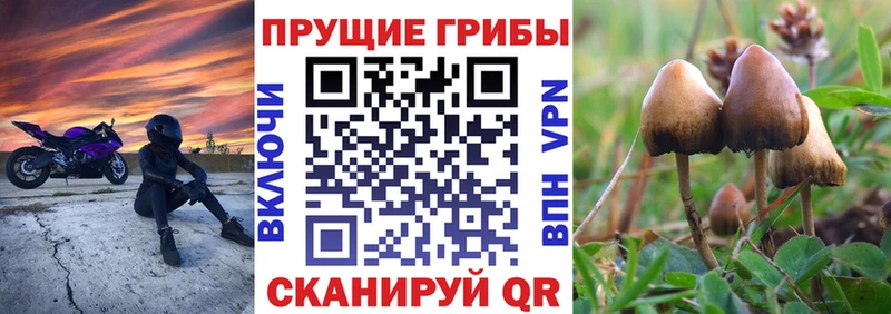 Галлюциногенные грибы Magic Shrooms  ссылка на мегу ССЫЛКА  Пенза  купить  
